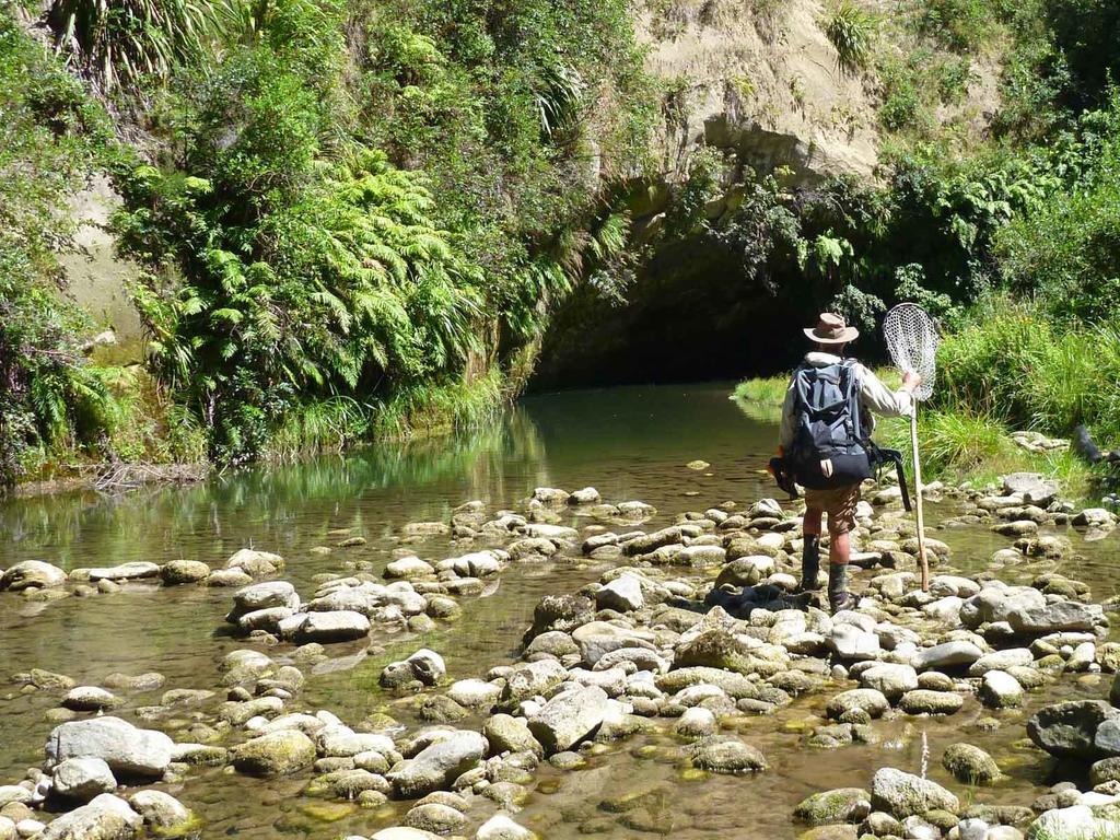 普塔鲁鲁阿美思汽车旅馆 Putaruru 外观 照片